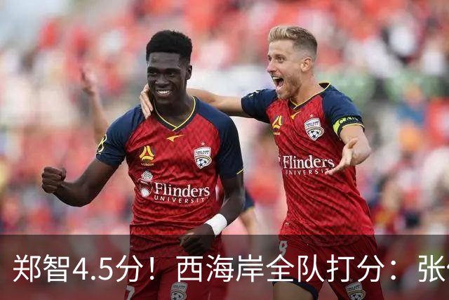 郑智4.5分！西海岸全队打分：张修维最高，戴维森尚可，4将不及格